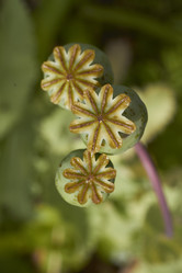 Similar image 5462575