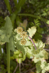 Similar image 5462577