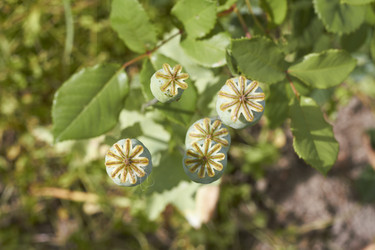 Similar image 5462578