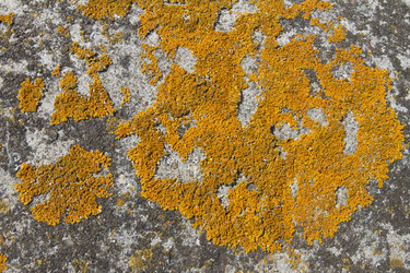 Similar image 5462579