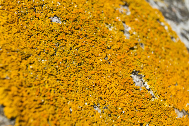 Similar image 5462592