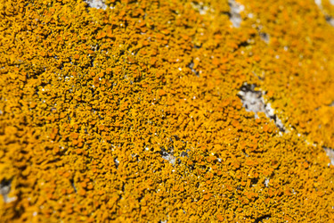 Similar image 5462593