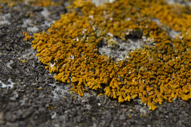 Similar image 5462594