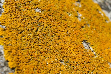 Similar image 5462595