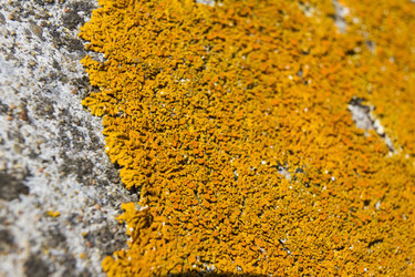 Similar image 5462596