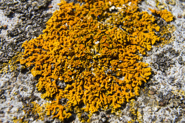 Similar image 5462597