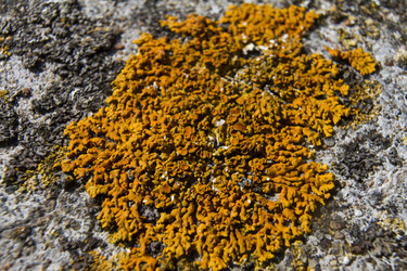 Similar image 5462598