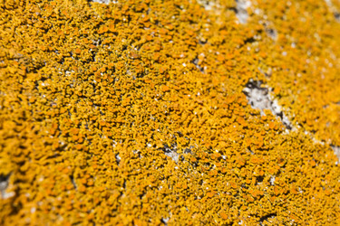 Similar image 5462599