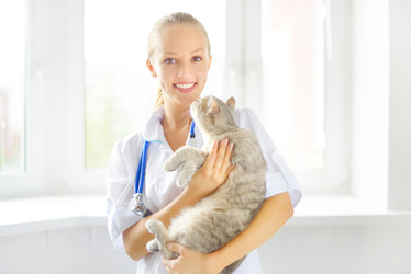 Similar image 5462818