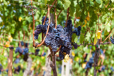 Similar image 5462853