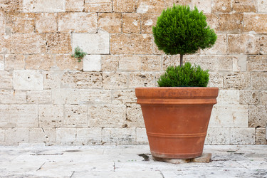 Similar image 5462880