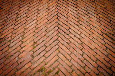 Similar image 5462881