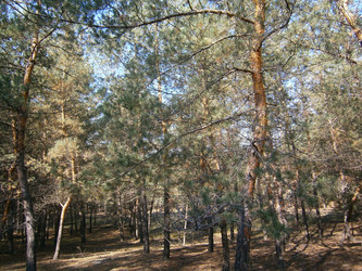 Similar image 5462896