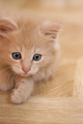 Similar image 5462904