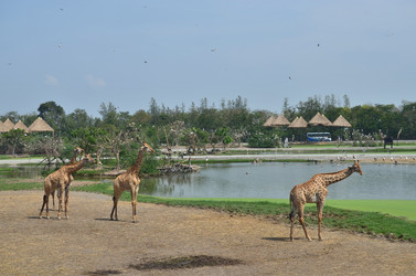 Similar image 5462935