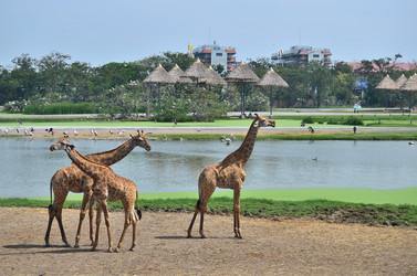 Similar image 5462936