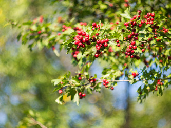 Similar image 5462945