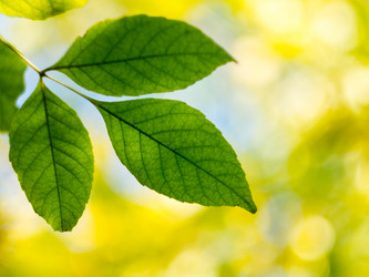 Similar image 5462946