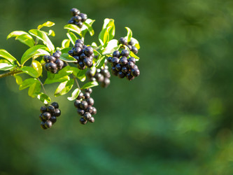 Similar image 5462948