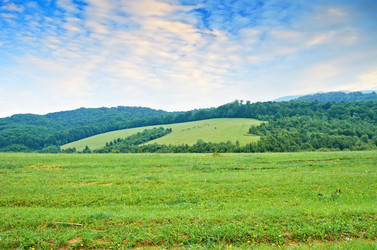 Similar image 5462970