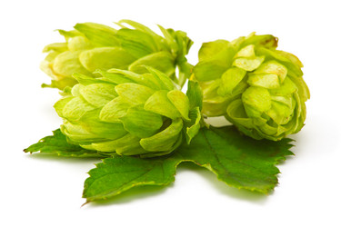 Similar image 5462973