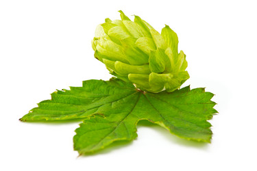 Similar image 5462974