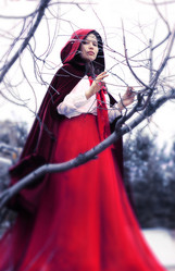 Similar image 5462977