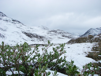 Similar image 5462993