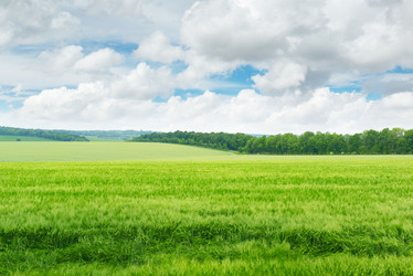 Similar image 5463007