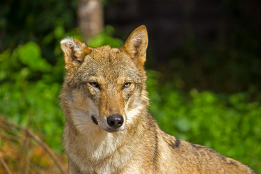 Similar image 5463045