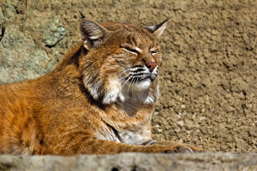 Similar image 5463047