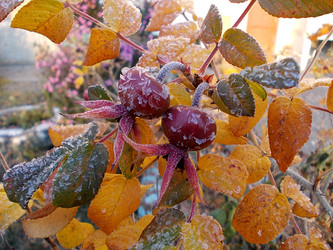 Similar image 5463053