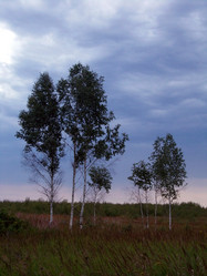 Similar image 5463054