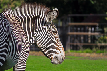 Similar image 5463058