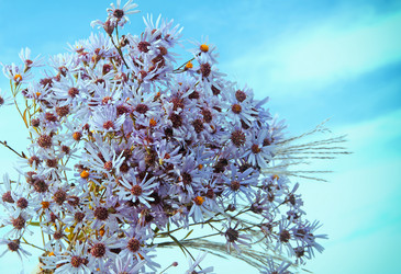 Similar image 5463063