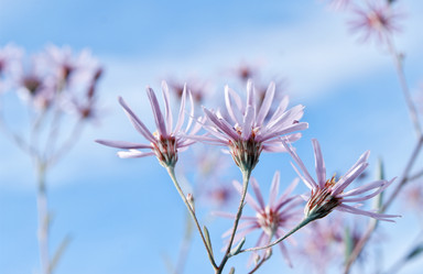 Similar image 5463064