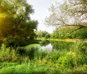 Similar image 5463067