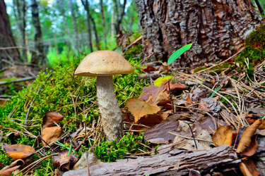 Similar image 5463116