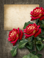 Similar image 5463134