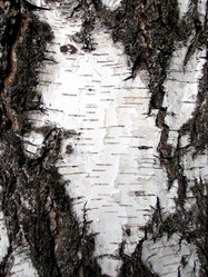 Similar image 5463174