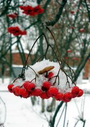 Similar image 5463176