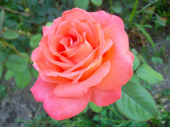 Similar image 5463193