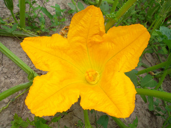 Similar image 5463194