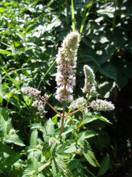 Similar image 5463196