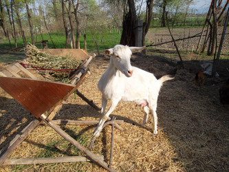 Similar image 5463199