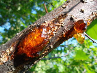 Similar image 5463202