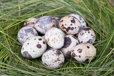 Similar image 5463209