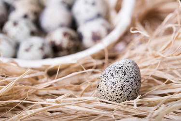 Similar image 5463210