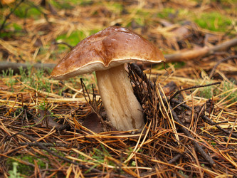 Similar image 5463283