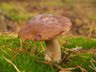 Similar image 5463285